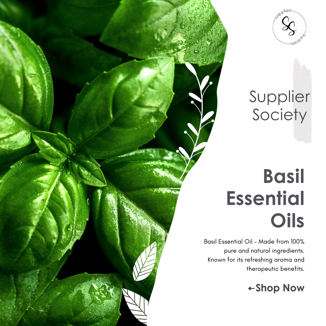 Basil Essential Oils