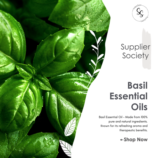 Basil Essential Oils