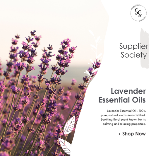 Lavender Essential Oils