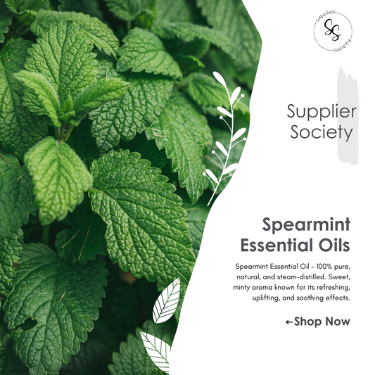 Spearmint Essential Oils
