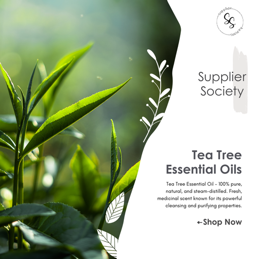 Tea Tree Essential Oils