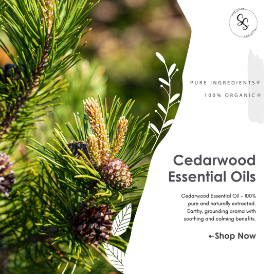 Cedarwood Himalayan Essential Oils