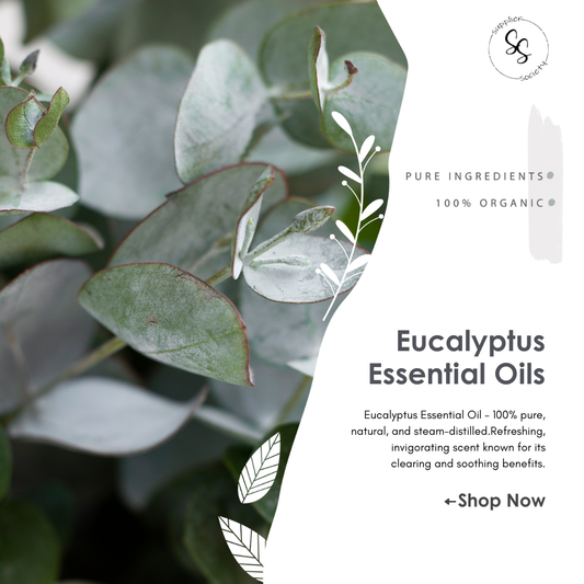 Eucalyptus Essential Oils