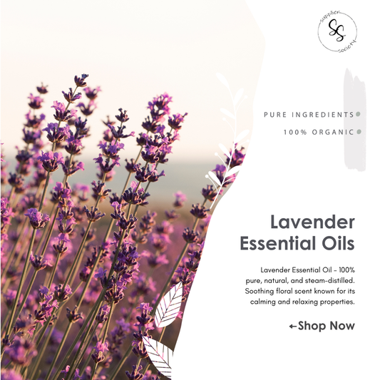 Lavender Essential Oils