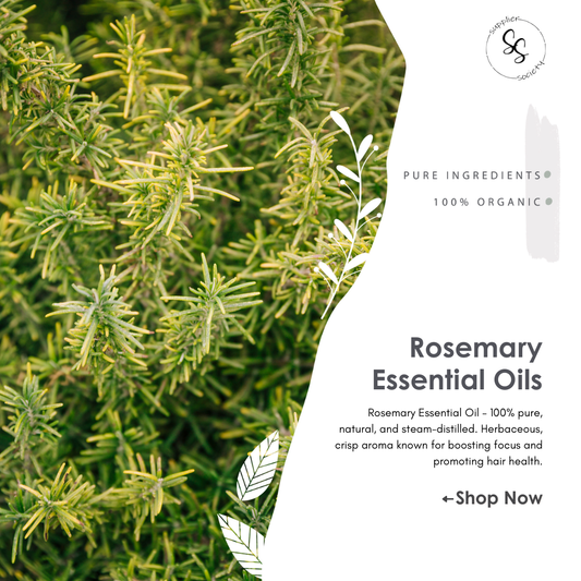 Rosemary Essential Oils