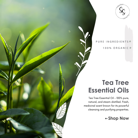 Tea Tree Essential Oils